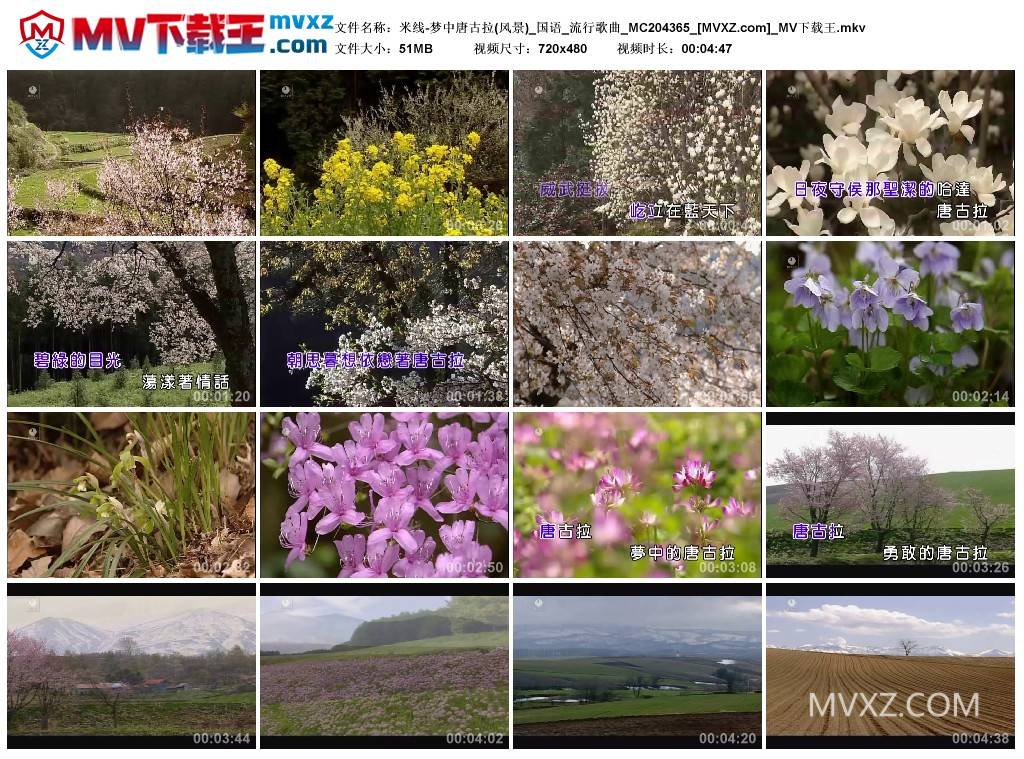 米线-梦中唐古拉(风景)_国语_流行歌曲_MC204365
